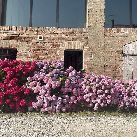 B&B Il Conte Giacomo Viarolo Luaran gambar